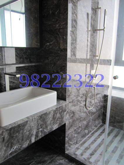 Lucida (D11), Apartment #73846042